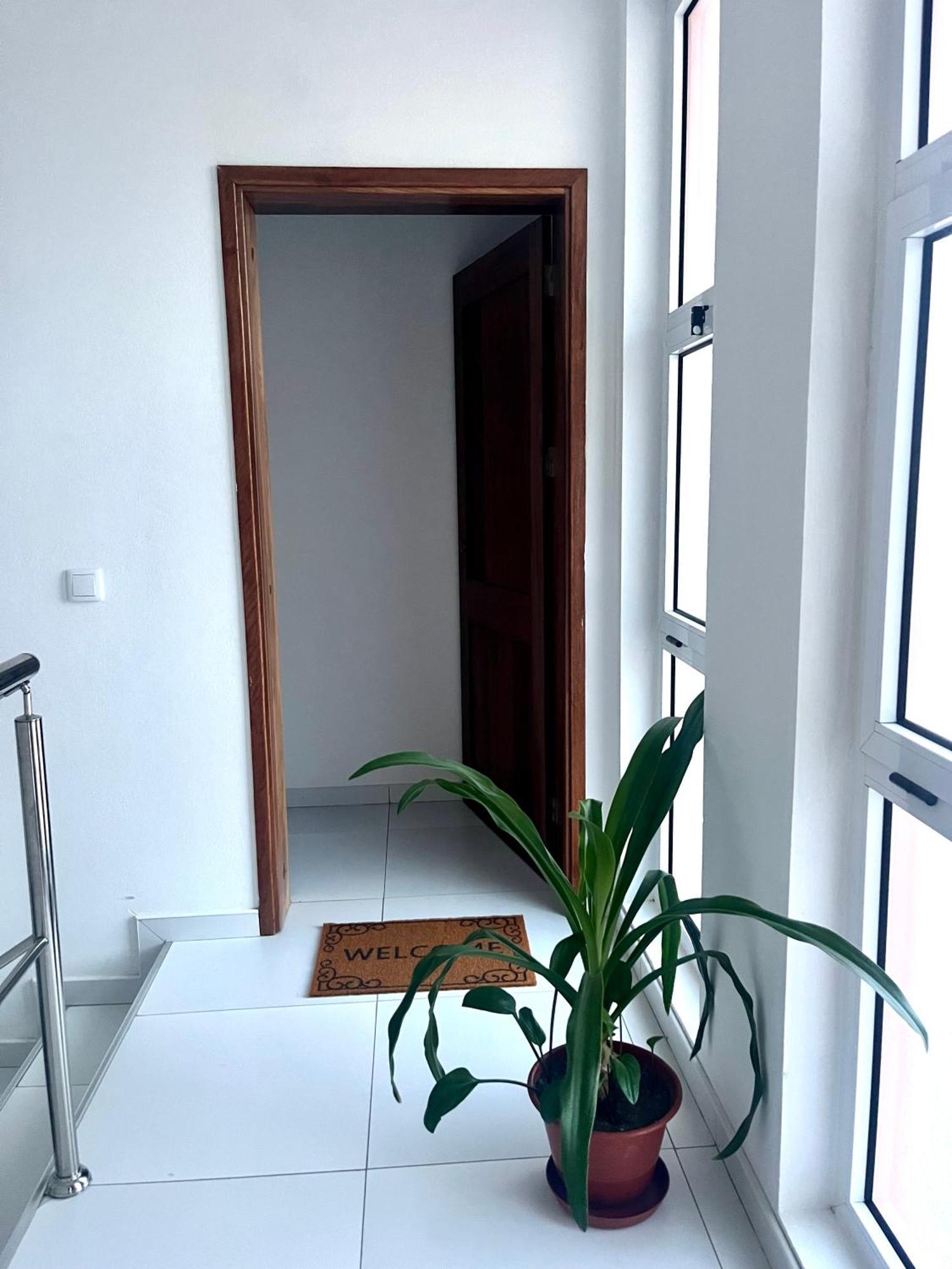 Oasis De Retour Apartment Ponta Do Sol Luaran gambar